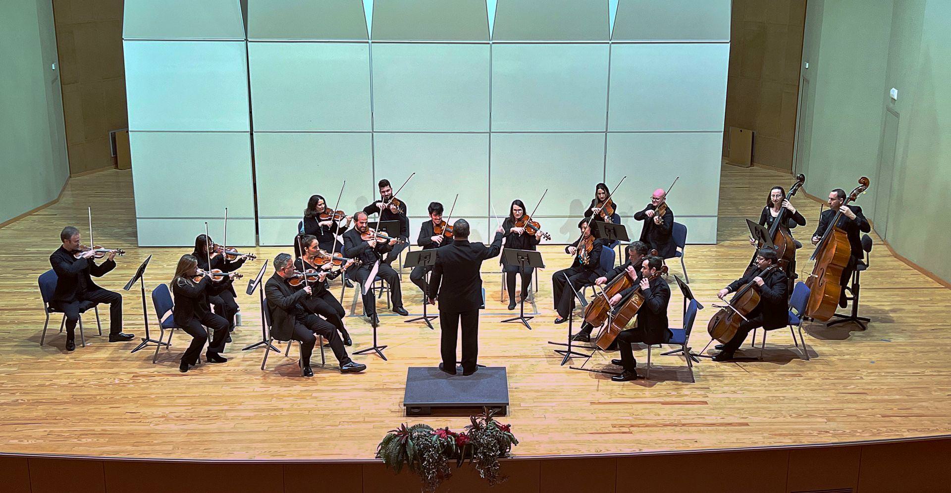 Camerata Madrid Sur en concierto